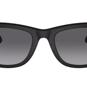 Ray-Ban Meta Wayfarer L Matte Black, Polar Gradient Graphite