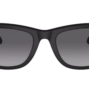 Ray-Ban Meta Wayfarer - Matte Black, Polar Gradient Graphite